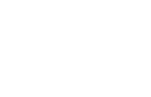 Netron Solutions